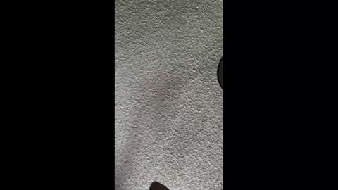 mister_nasty online show from 3, 10, 2025