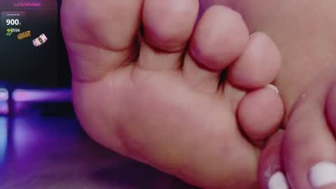 Jhadee online show from 7, 4, 2026