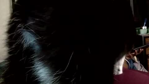 Mistress Mystii online show from 1, 3, 2026