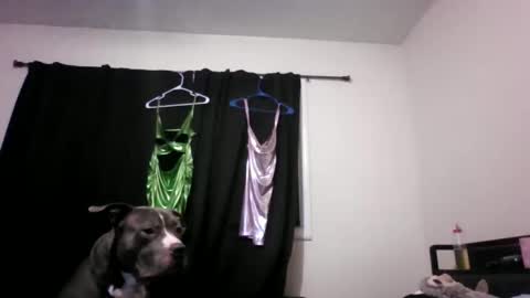 Snapshot of miztrezk chatting on 12, 5, 2026 miztrezk online show from 12, 5, 2026