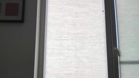 mko88951 online show from 22, 4, 2026