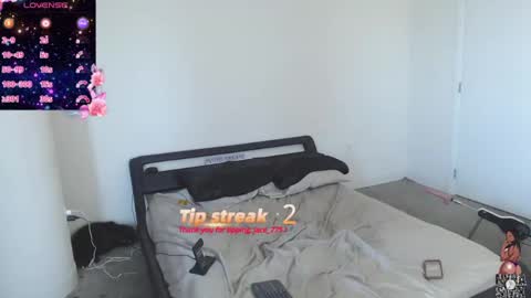 NynaStax online show from 8, 12, 2024