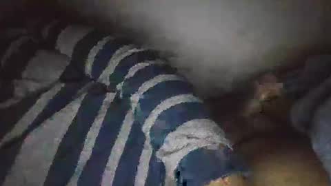 moeydsad4 online show from 22, 11, 2025