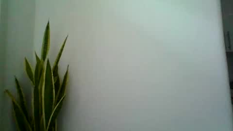 Snapshot of mollypepe chatting on 9, 9, 2025 mollypepe online show from 9, 9, 2025