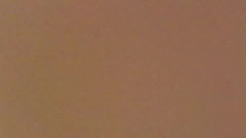 moma1111 online show from 11, 4, 2026