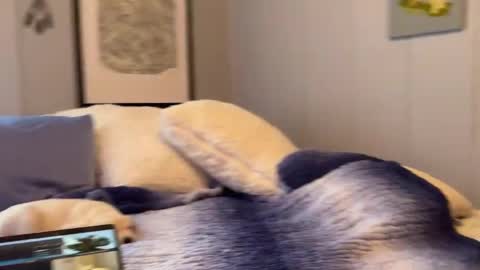 Snapshot of mommamia12 chatting on 6, 1, 2025 Mia online show from 6, 1, 2025