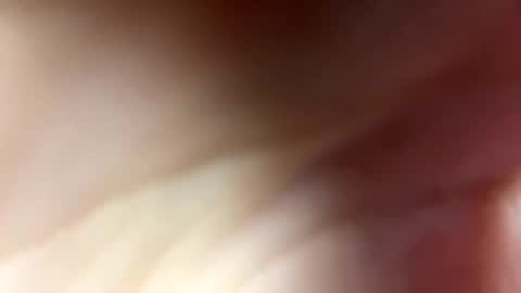 Monica online show from 11, 12, 2024