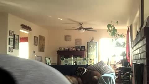 Snapshot of monkeedance chatting on 11, 12, 2024 Monkee Dance online show from 11, 12, 2024