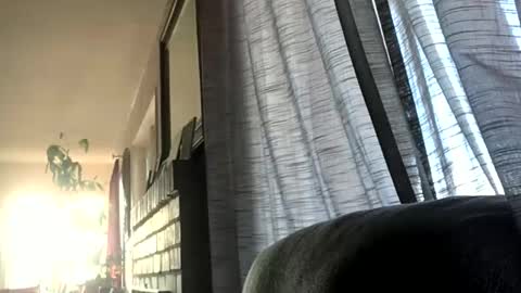 Snapshot of monkeedance chatting on 17, 12, 2024 Monkee Dance online show from 17, 12, 2024