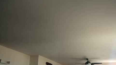 Snapshot of monkeedance chatting on 12, 1, 2025 Monkee Dance online show from 12, 1, 2025