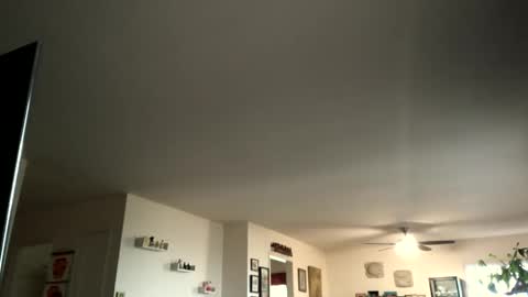 Snapshot of monkeedance chatting on 4, 2, 2025 Monkee Dance online show from 4, 2, 2025