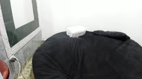 Snapshot of monkeyd_66 chatting on 28, 1, 2025 monkeyd_66 online show from 28, 1, 2025