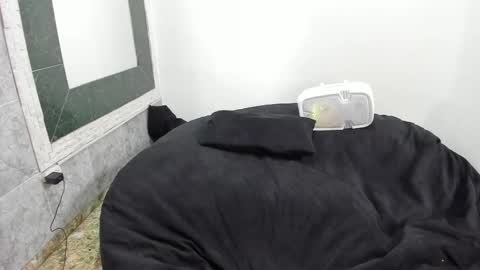 Snapshot of monkeyd_66 chatting on 18, 2, 2025 monkeyd_66 online show from 18, 2, 2025