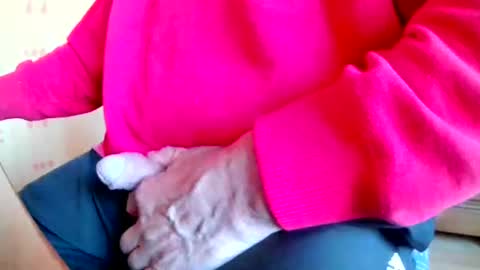 mookie2 online show from 23, 3, 2026