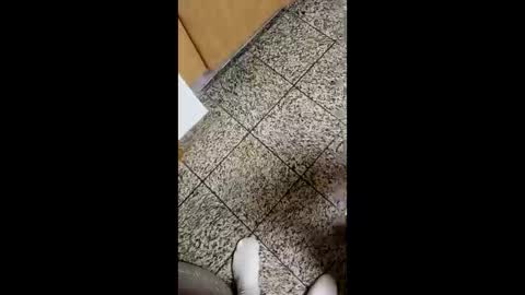 moos1 online show from 4, 10, 2025