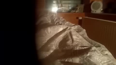 moos1 online show from 1, 4, 2026