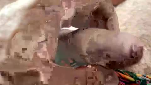 Me online show from 7, 1, 2026