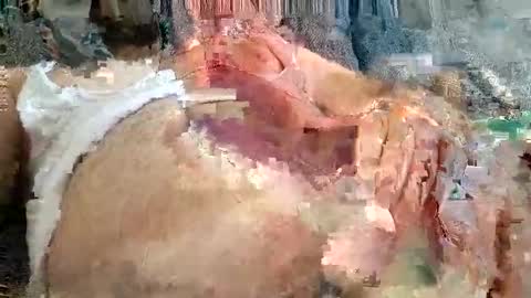 Arab boy online show from 24, 11, 2025