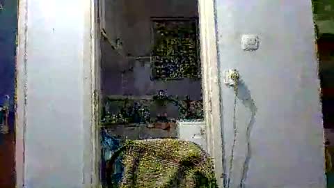 mppempis81 online show from 2, 12, 2025