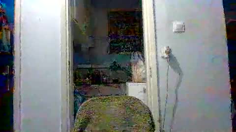 mppempis81 online show from 4, 12, 2025