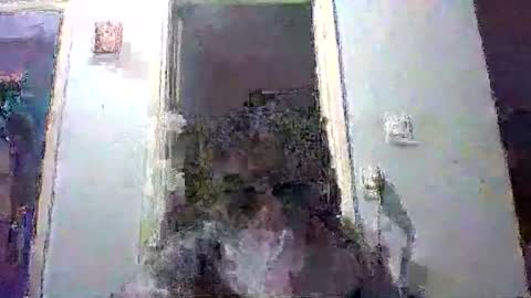 mppempis81 online show from 9, 1, 2026