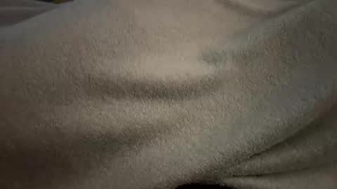 Sequoia-Cocked Hombre de Sur online show from 25, 4, 2026