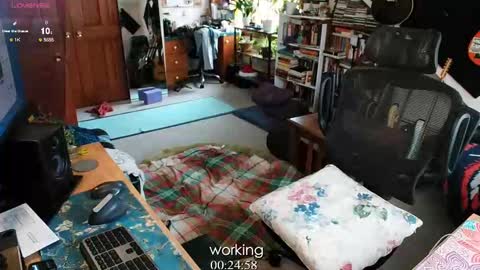 ninko online show from 13, 2, 2025