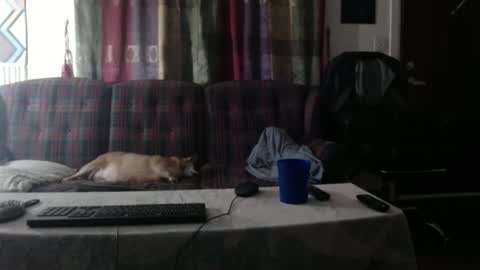 Snapshot of mr_happy12 chatting on 23, 9, 2025 mr_happy12 online show from 23, 9, 2025