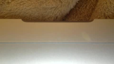 Snapshot of mr_himm chatting on 23, 4, 2026 mr_himm online show from 23, 4, 2026