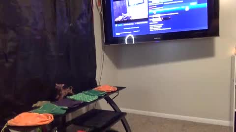 Snapshot of mr_j_showoff chatting on 3, 1, 2025 whateveryouwant online show from 3, 1, 2025