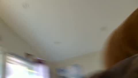 Snapshot of mrandmrskinkyfuckery chatting on 7, 8, 2026 Sterling Lena online show from 7, 8, 2026