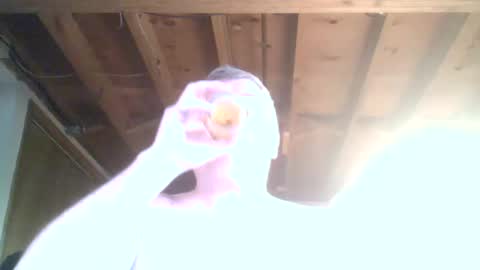 mrblade666 online show from 12, 1, 2025