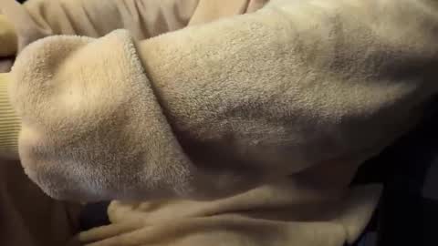 Snapshot of mrdelapampa chatting on 26, 11, 2025 mrdelapampa online show from 26, 11, 2025