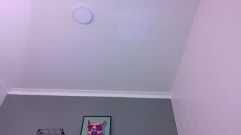 Snapshot of mrfox__ chatting on 15, 5, 2026 Mr Fox online show from 15, 5, 2026