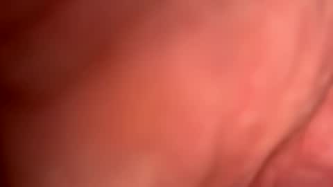 mrfrankfuckforfree online show from 15, 11, 2025