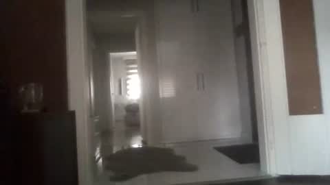 Nikola online show from 13, 3, 2026