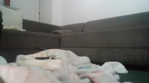 Snapshot of mrhandsomelovee chatting on 9, 5, 2026 Nikola online show from 9, 5, 2026