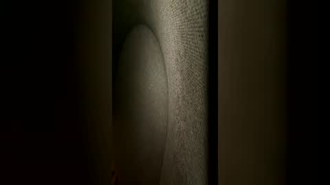 Snapshot of mrmaxxxxi chatting on 22, 6, 2026 mrmaxxxxi online show from 22, 6, 2026
