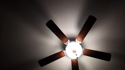 Snapshot of mrorange50187 chatting on 1, 12, 2024 mrorange50187 online show from 1, 12, 2024