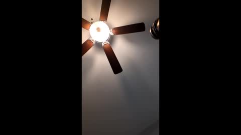 Snapshot of mrorange50187 chatting on 12, 1, 2025 mrorange50187 online show from 12, 1, 2025