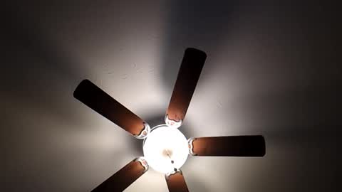 Snapshot of mrorange50187 chatting on 26, 1, 2025 mrorange50187 online show from 26, 1, 2025