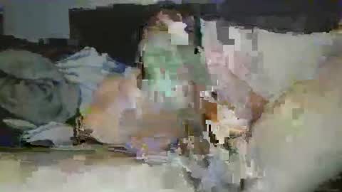 mrpapichulo4life online show from 1, 2, 2026