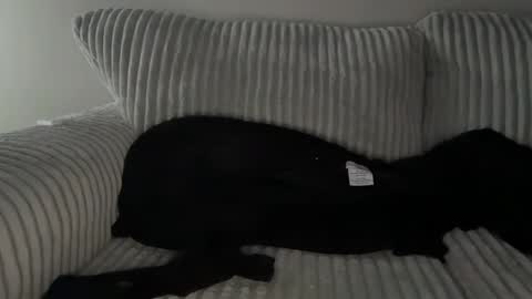 Mr Ryan Voss online show from 30, 12, 2024