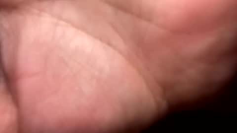 shawn online show from 16, 12, 2025