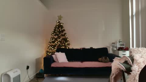 R o r i  SnapChat heyroriv2 wednesday - sunday Noon oclock mountain - 5pm mountain online show from 12, 2, 2026