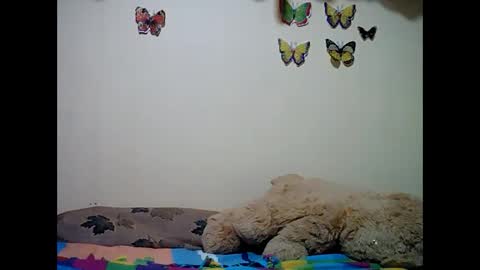 ms_teery online show from 8, 12, 2024