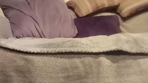 Snapshot of mtx9889 chatting on 27, 10, 2025 mtx9889 online show from 27, 10, 2025