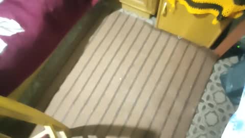 Snapshot of muchachosam chatting on 26, 10, 2025 zenon online show from 26, 10, 2025