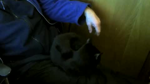 muller520 online show from 9, 1, 2026