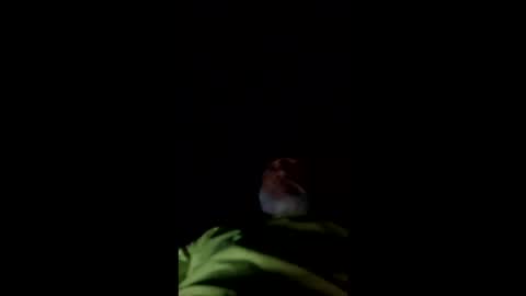 Snapshot of mullinfloggin79 chatting on 28, 5, 2026 mullinfloggin79 online show from 28, 5, 2026